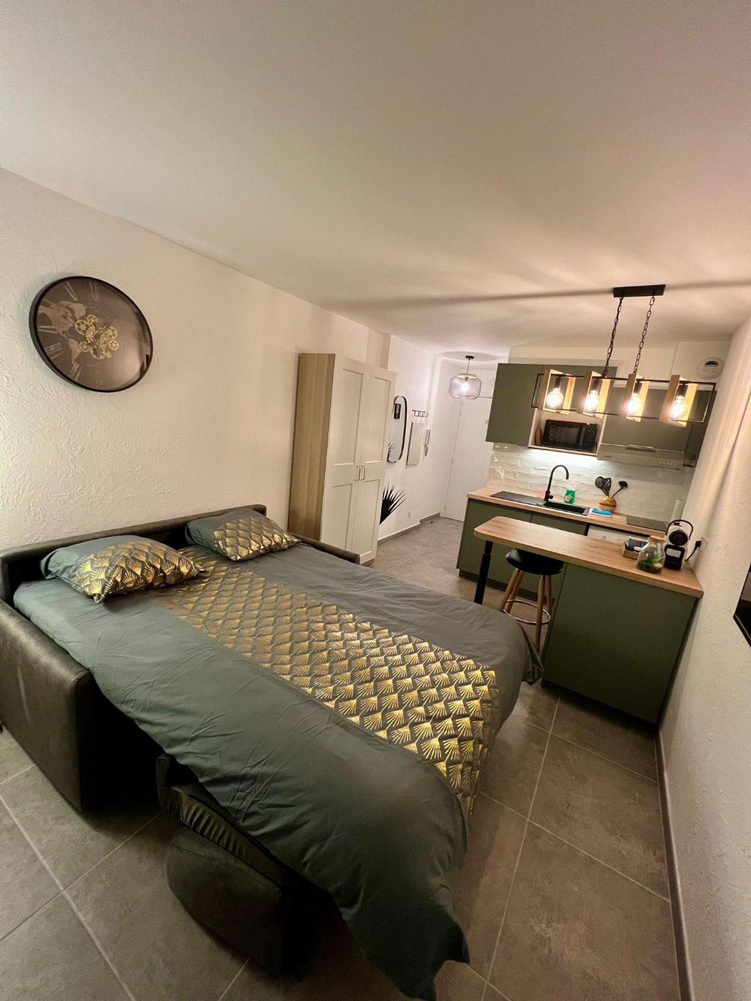 Studio Climatise, Cosy Et Calme Au Centre Ville Антіб Екстер'єр фото